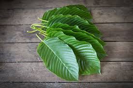 White Strain Kratom Extracts Liquid Kratom Online
