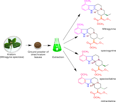 Liquid kratom extract online