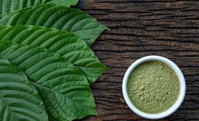 The Harvesting Process of Kratom: From Leaf to Powder
