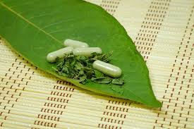 Kratom and Its Role in Managing Chronic Pain