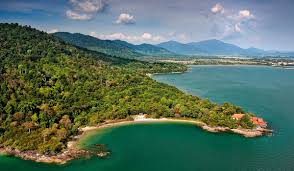 Malaysian kratom Powder and Capsule Kratom Online