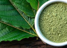 Thai Kratom Powder 